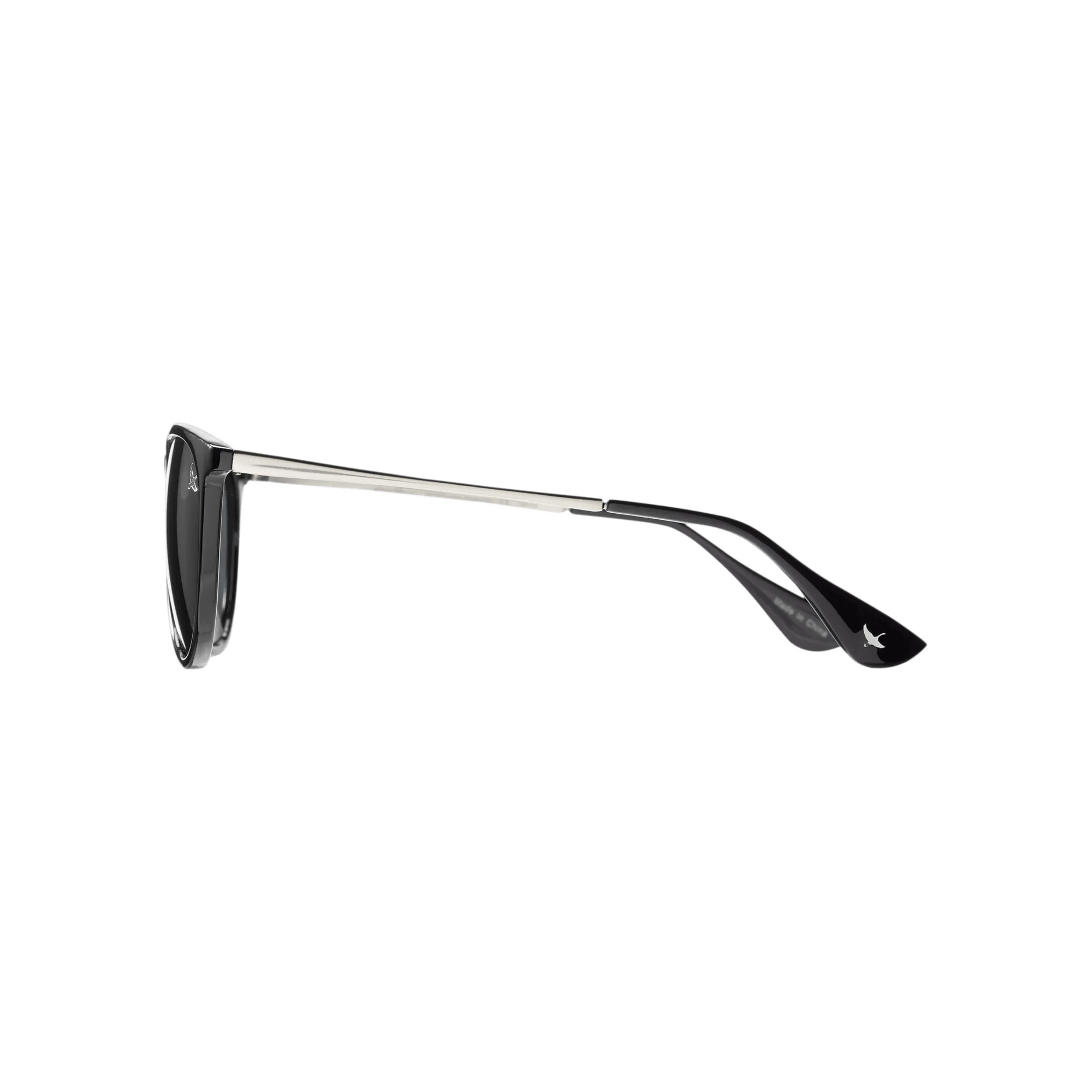 Montlake Polarized Sunglasses - Image 3