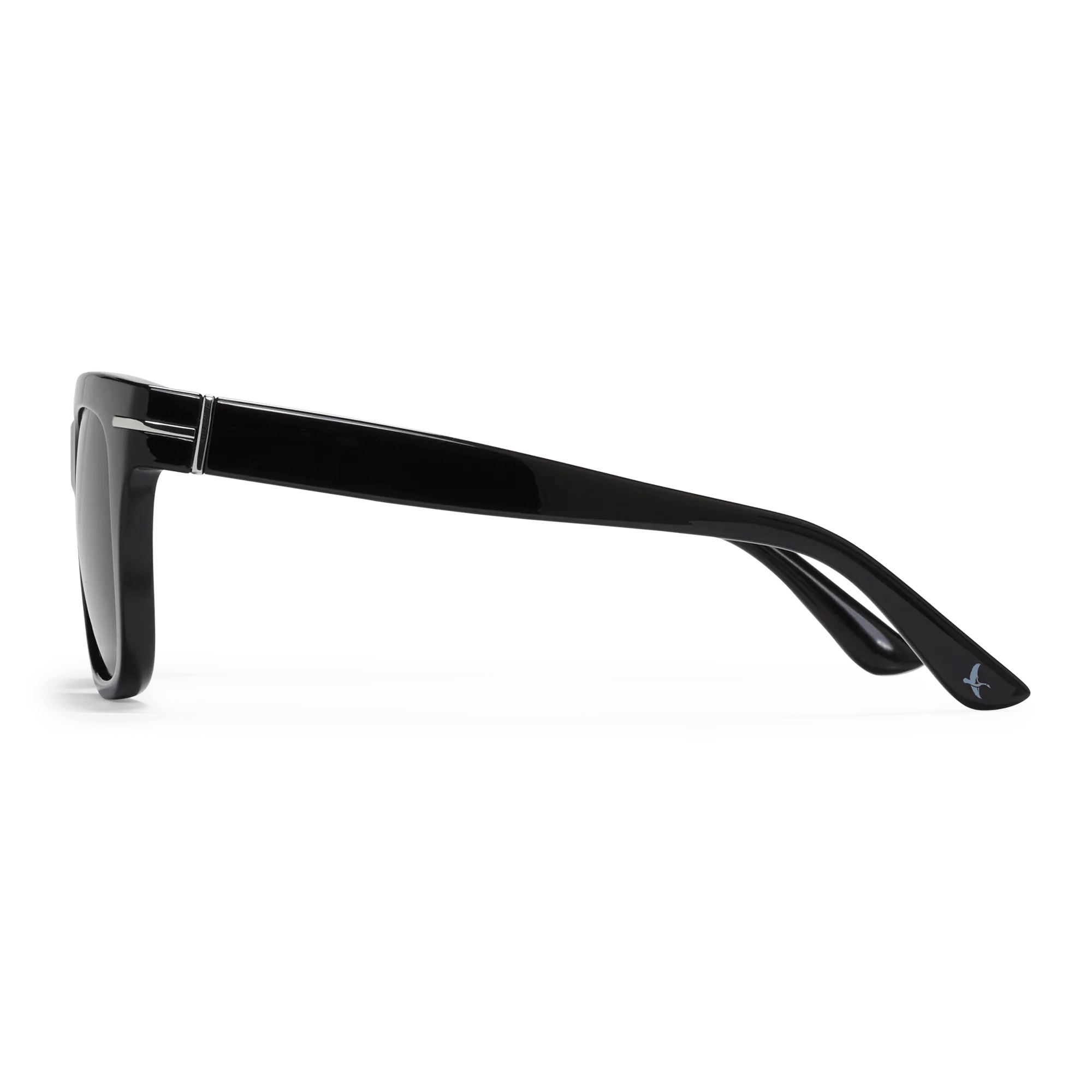Blanca Polarized Sunglasses - Image 3