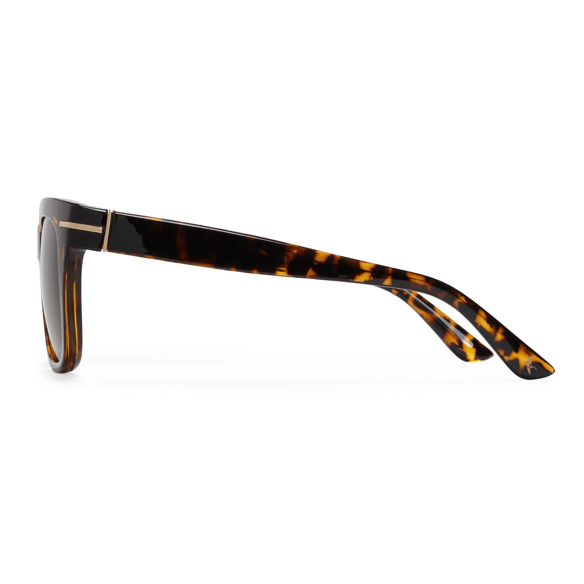 Blanca Polarized Sunglasses - Image 3
