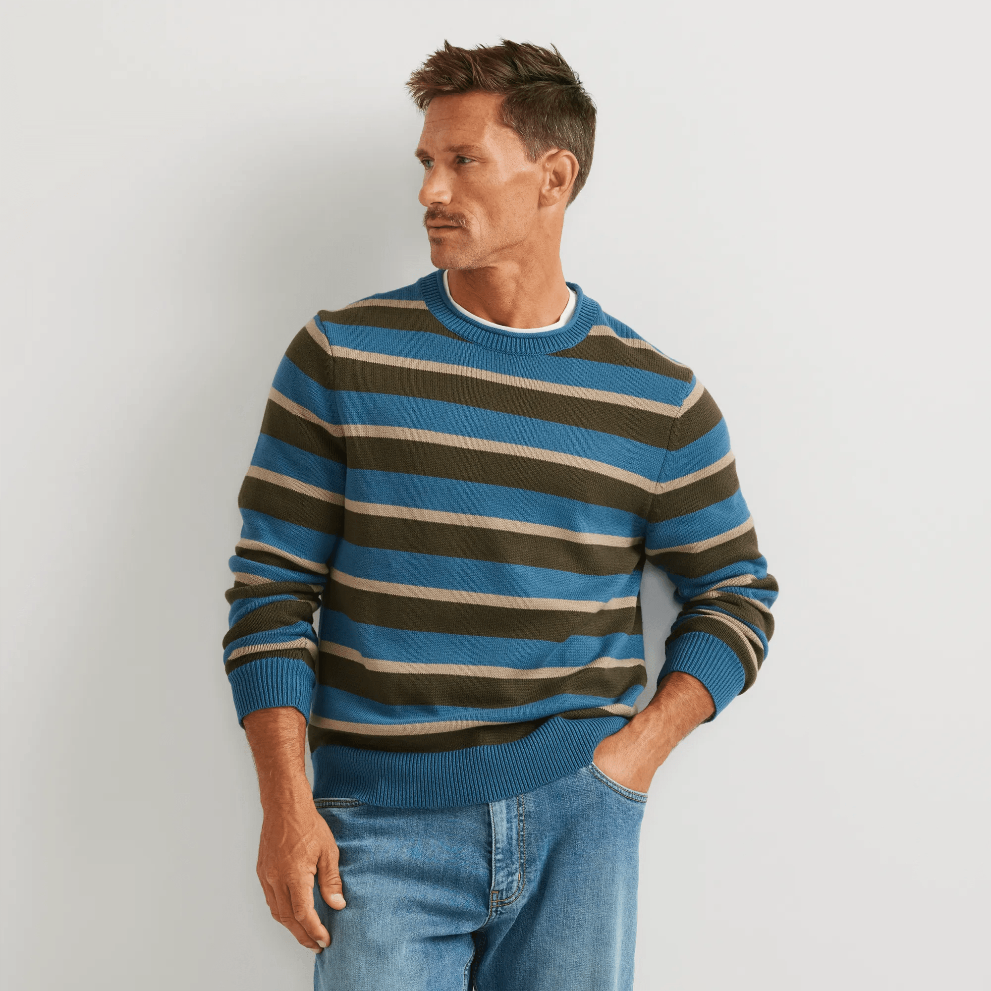 Men's Classic Roll Neck Sweater - Stripe